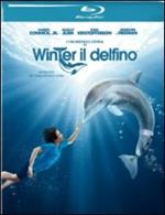 L' incredibile storia di Winter il delfino