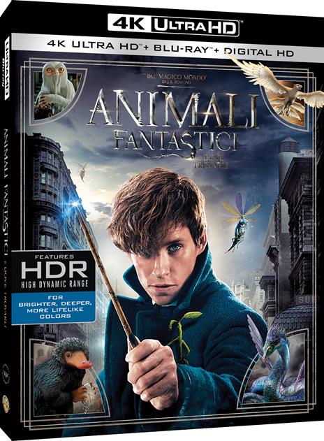 Animali fantastici e dove trovarli (Blu-ray + Blu-ray 4K Ultra HD) di David Yates - Blu-ray + Blu-ray Ultra HD 4K