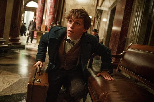 Animali fantastici e dove trovarli. Pop Up Snaso (Blu-ray) di David Yates - Blu-ray - 4
