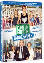 Come un gatto in tangenziale (DVD)