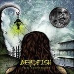 +4626-Comfortzone - CD Audio di Beardfish
