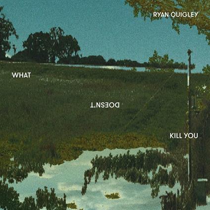 What Doesn't Kill You - CD Audio di Ryan Quigley