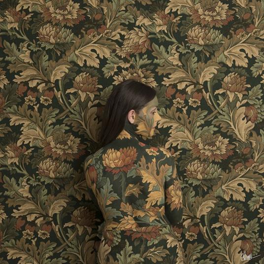 In Plain Sight - CD Audio di Honeyblood
