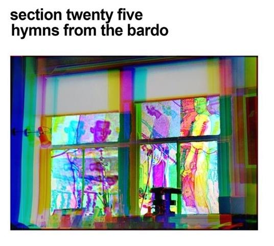 Hymns From The Bardo - CD Audio di Section 25