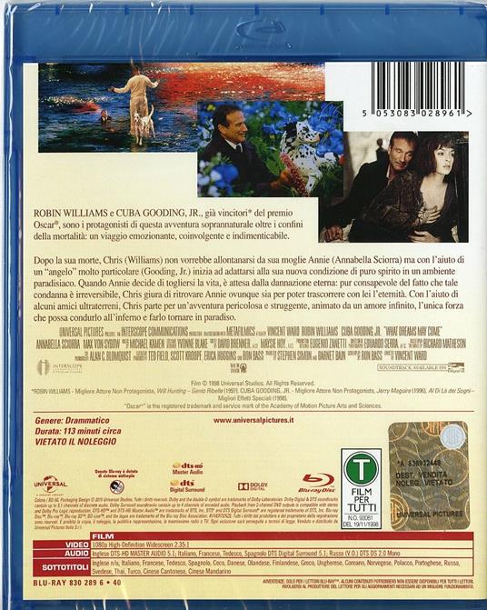 Al di là dei sogni di Vincent Ward - Blu-ray - 2