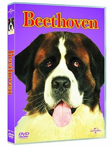 Beethoven (Big Face) - DVD