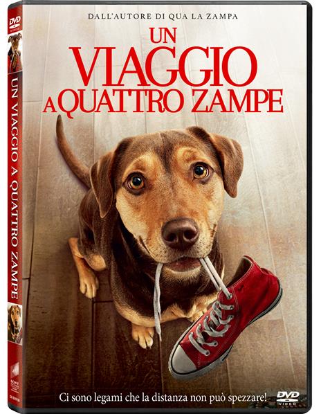 Un viaggio a quattro zampe (DVD) di Charles Martin Smith - DVD