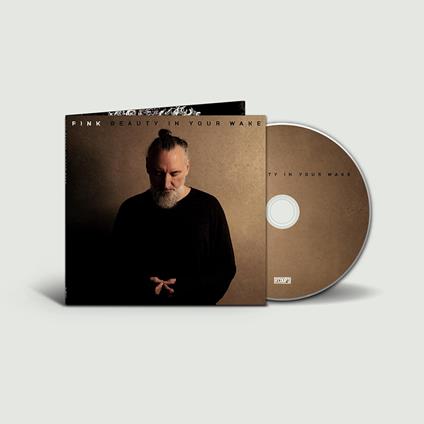 Beauty In Your Wake - CD Audio di Fink