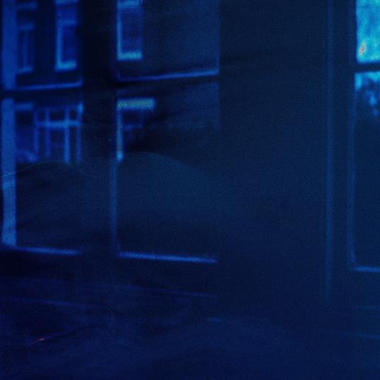 New Place - Vinile LP di Pale Blue Eyes