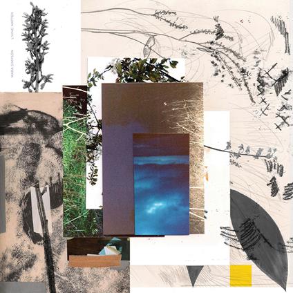 Living Matter - Vinile LP di Mara Simpson