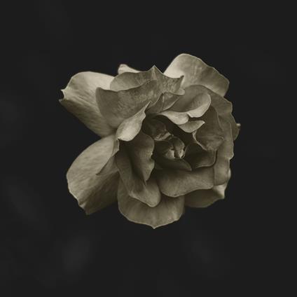 Gldmth - Gldmth - Vinile LP