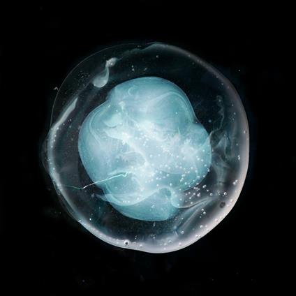 The Undivided Five - CD Audio di A Winged Victory for the Sullen