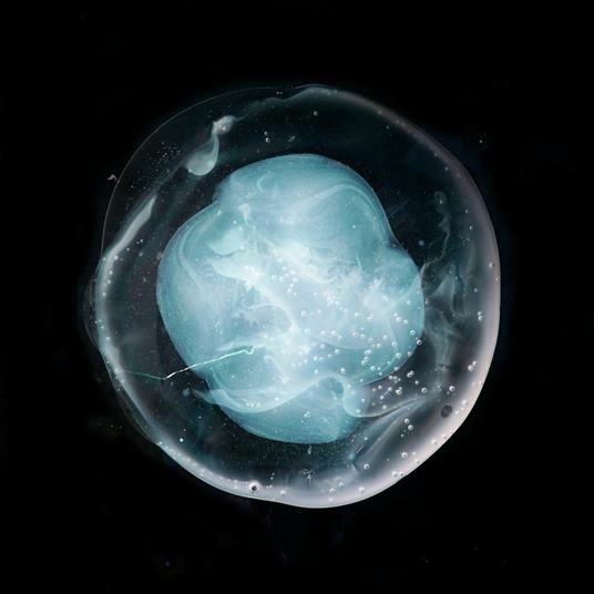 The Undivided Five - CD Audio di A Winged Victory for the Sullen