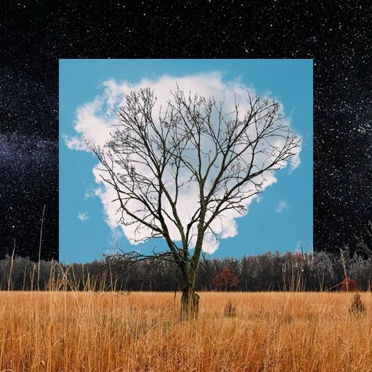 Bloom Innocent (White Coloured Vinyl) - Vinile LP di Fink