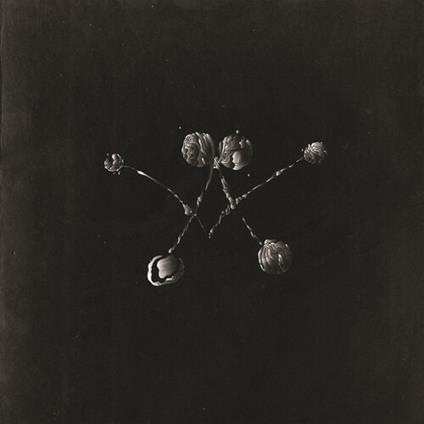 Nowhere Now - Vinile LP di Waterstrider