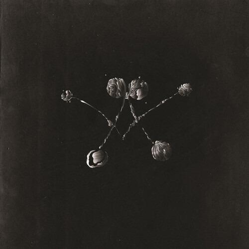 Nowhere Now - Vinile LP di Waterstrider