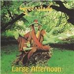 Large Afternoon - CD Audio di Greenslade