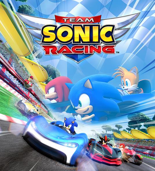 Sony Team Sonic Racing, PS4 videogioco PlayStation 4 Basic