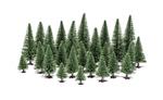 Albero Modellismo. Abeti