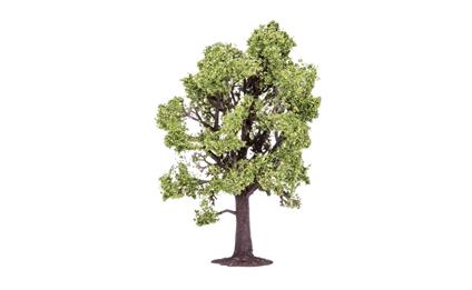 Albero Modellismo. Faggio