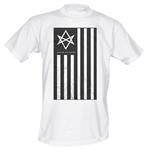 T-Shirt uomo Bring Me the Horizon. Antivist