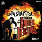 Indestructible Sounds of