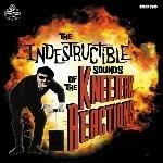 The Indestructible Sounds of