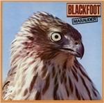 Marauder - CD Audio di Blackfoot