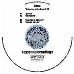 Holed Up In The Hovel - Vinile 7'' di Damu