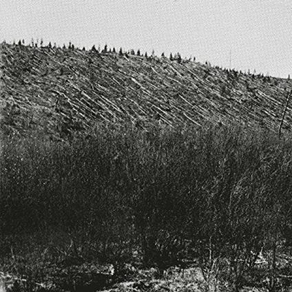 Larm - Vinile LP di Pina