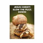 Magnete Slow Down