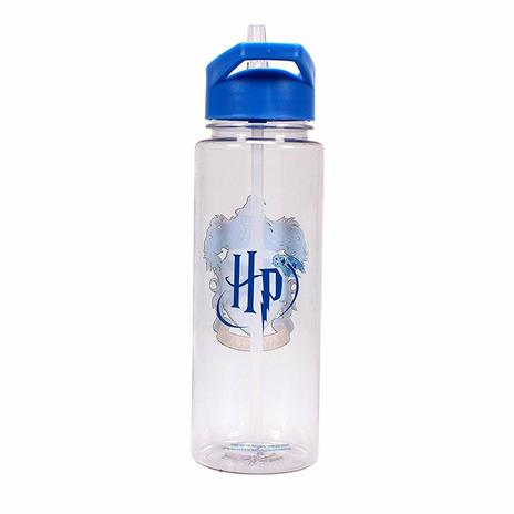 Bottiglia Plastica 700Ml Harry Potter. Ravenclaw - 4