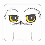 Harry Potter Coaster Hedwig Case (6) Half Moon Bicchieri Boccali