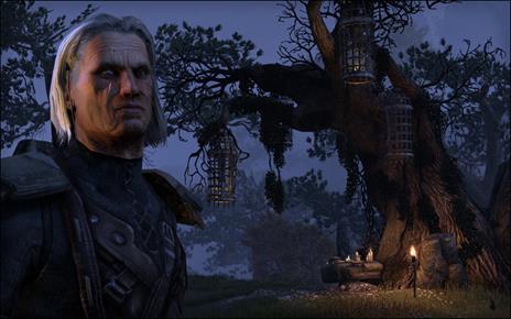 The Elder Scrolls Online: Tamriel Unlimited - 8