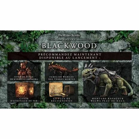 The Elder Scrolls Online: Blackwood Collection Gioco Xbox One e Xbox Series X - 2