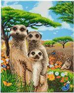 Famiglia Meerkat