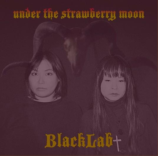 Under the Strawberry Moon - Vinile LP di Blacklab