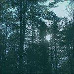 Vacant - Vinile LP di Ashbringer