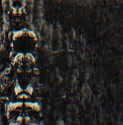 The Forest, the People and the Spirits - Vinile LP di O Morto