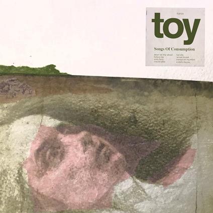 Songs of Consumption - CD Audio di Toy