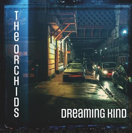 Dreaming Kind - CD Audio di Orchids