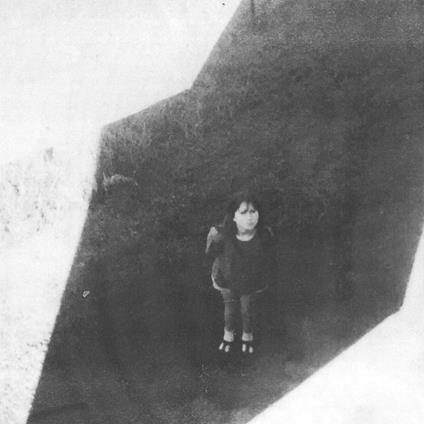 The Next From Field Commander - Vinile LP di Field Commander Ali