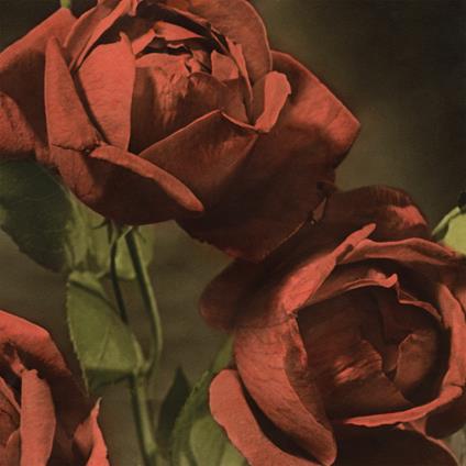 Another Country - Vinile LP di Cindy