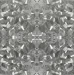 Roht - Roht