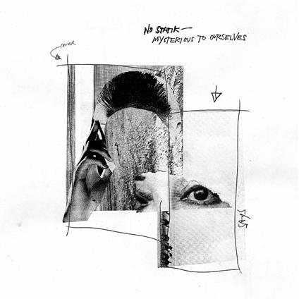 Mysterious to Ourselves - Vinile LP di No Statik