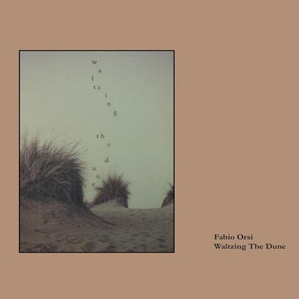 Waltzing the Dune - CD Audio di Fabio Orsi