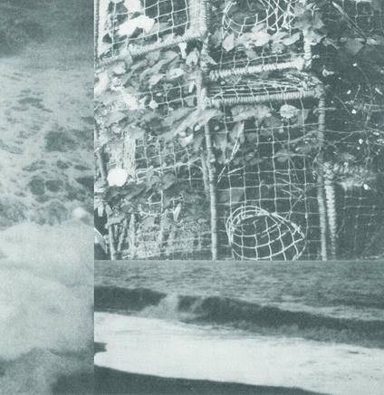 Processes and Instruments of Normal People - Vinile LP di Cremation Lily