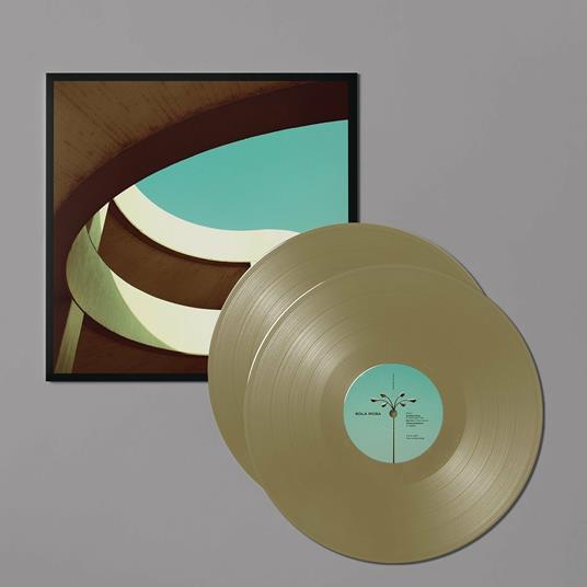 Chasing the Sun (Coloured Vinyl) - Vinile LP di Sola Rosa