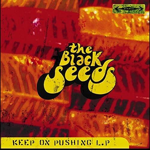 Keep On Pushing - Vinile LP di Black Seeds
