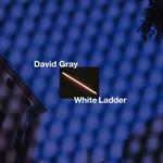 White Ladder (20Th Annyversary Edt. + Booklet 84 Pag. Deluxe Edt.)